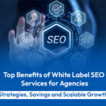 white label SEO services for agencies